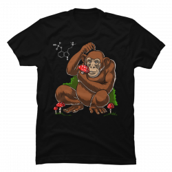 stoned ape theory shirt